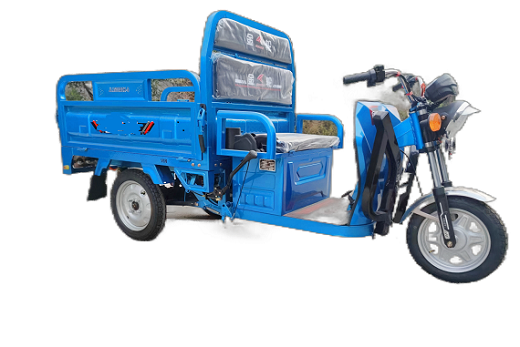 Tricycle de cargaison
